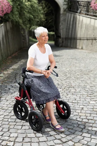 Rollator TAiMA XC, luftbereift, Netz und Stockhalter, rot-metallic