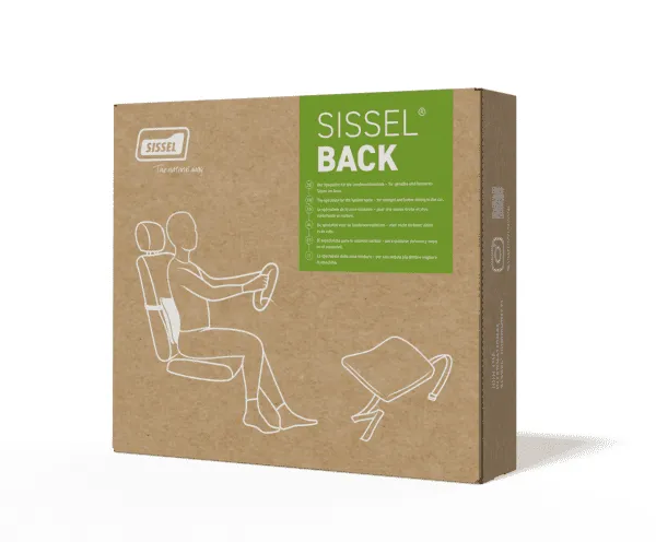 SISSEL Back Auto/Lendenkissen Velour, grau