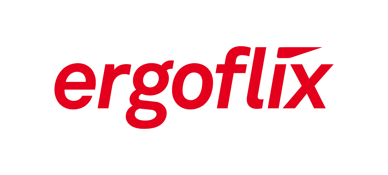 ergoflix Logo
