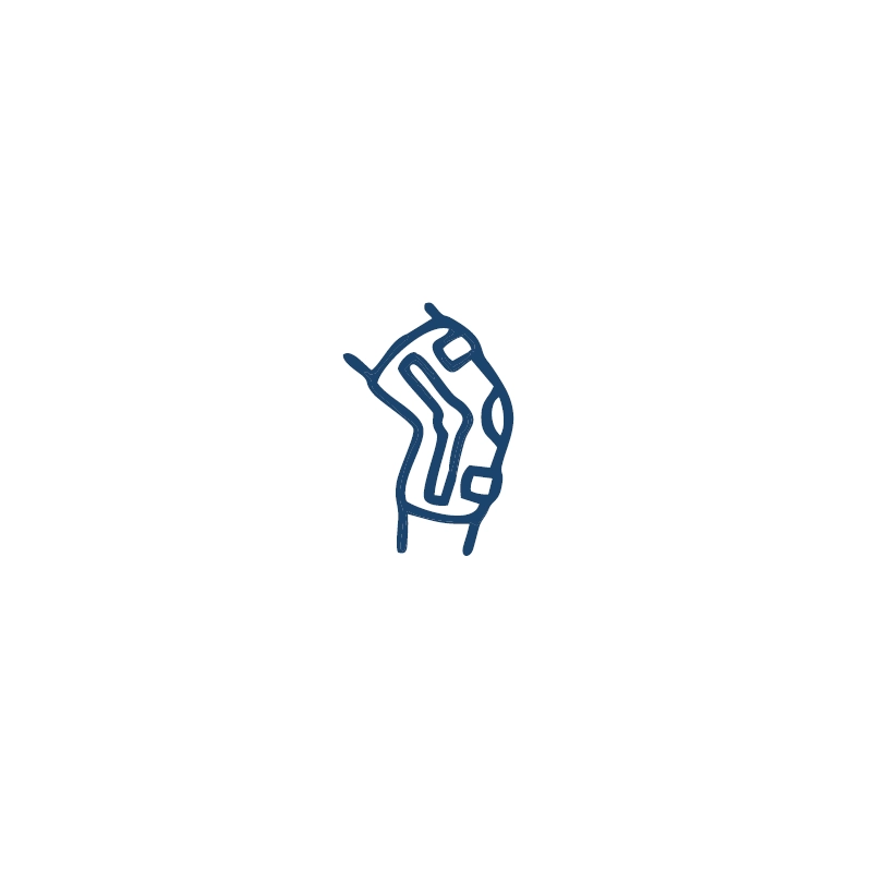 Icon Bandagen